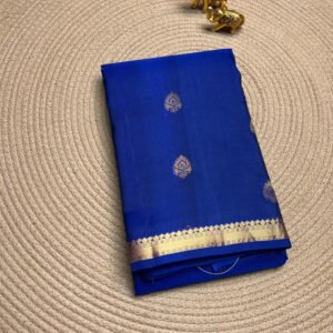 Blue - Kanchi Border Soft Silk Saree